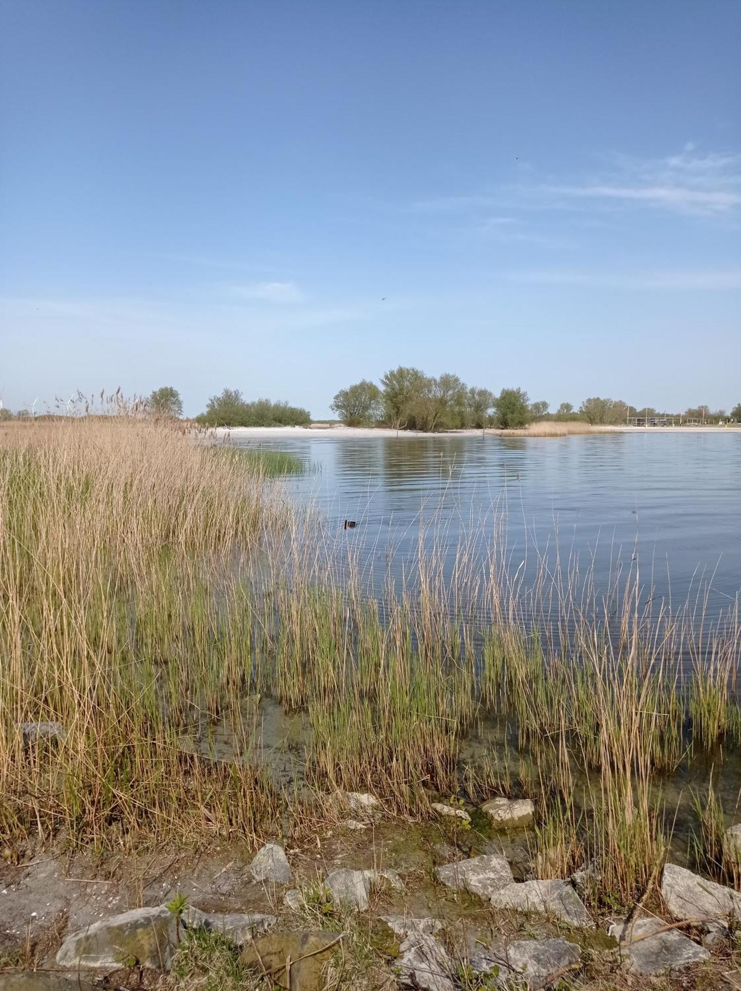 Appartement Ijsselmeer Makkum Strand Eksteriør bilde
